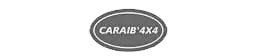 logo caraib 4x4 - Gestion du parc informatique